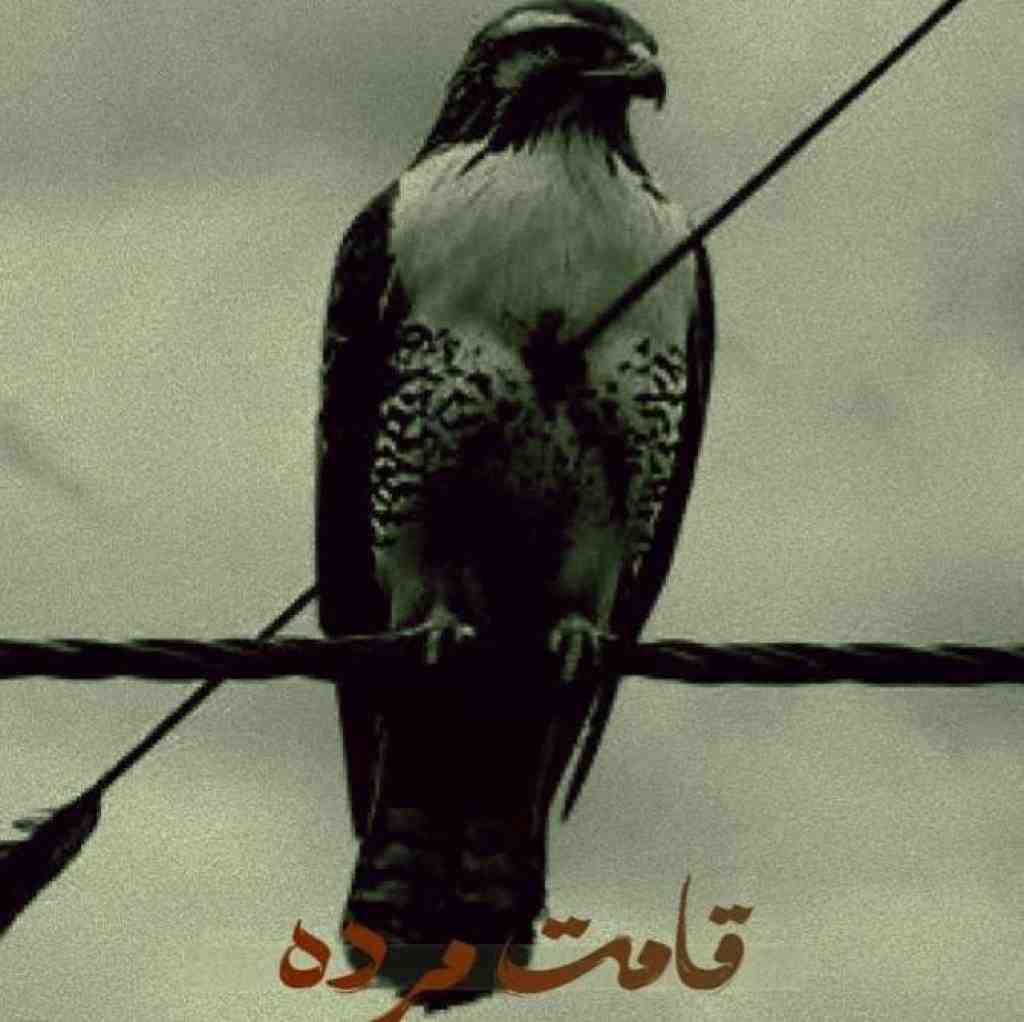 علی سورنا و نوید و بهرام و امیر تتلو قامت مرده
