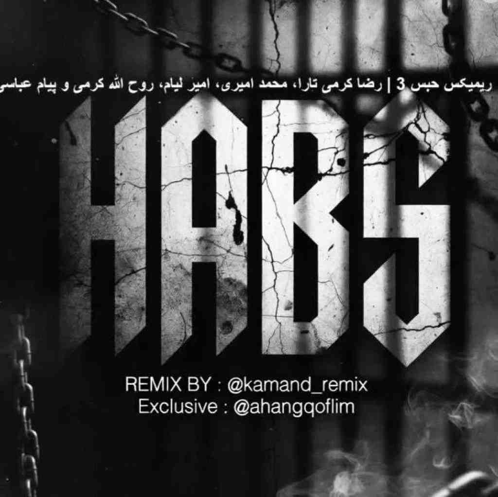 رضا کرمی تارا و محمد امیری و امیر لیام و روح الله کرمی و پیام عباسی حبس 3