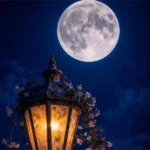 دانلود آهنگ اگه بات شدم بد همه عکسارو چال کن احمق دانلود آهنگ اگه بات شدم بد همه عکسارو چال کن احمق
